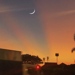 Meet your Posher, Sophia